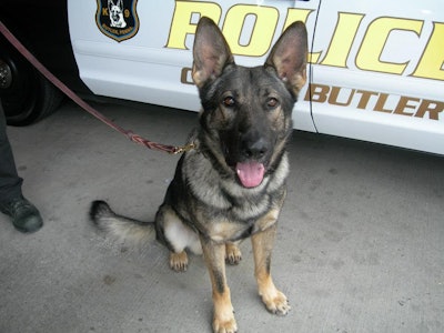 K-9 Gunner had been with the Butler City (PA) Police Department for several years.
