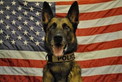 The Christiansburg (VA) Police Department is mourning the death of K-9 officer, Ringo, who recently retired from service following five years of service to the department.