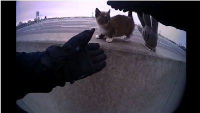 Recently released body-camera footage shows an officer with the North Kansas City (MO) Police Department coming to the rescue of a tiny kitten trapped on the Jersey barrier between the northbound and southbound lanes of an area highway shortly before Christmas.
