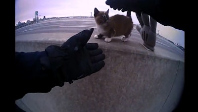 An officer with the North Kansas City (MO) Police Department coming to the rescue of a tiny kitten trapped on the Jersey barrier between the northbound and southbound lanes of an area highway.