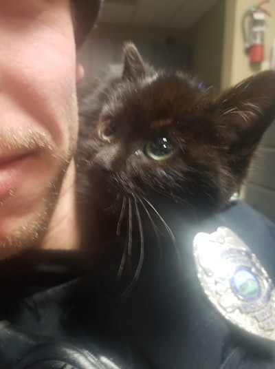 An officer with the Platteville Police Department has adopted a kitten he had rescued from a ditch filled with snow.