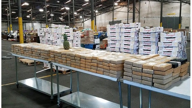 U.S. Customs and Border Protection field operations officers working at the port of Savannah, GA discovered more than 450 packets of cocaine hidden in a shipment of fresh pineapples from Colombia.