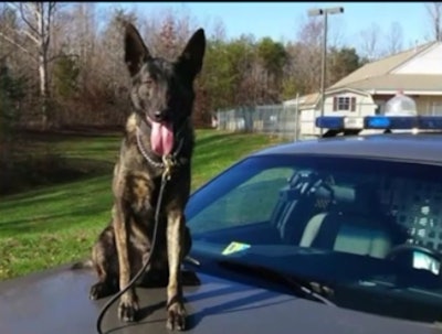 Powhatan County (VA) Sheriff's Office K-9 Bane found two lost children this weekend. (Photo: Powhatan County SO/Facebook)