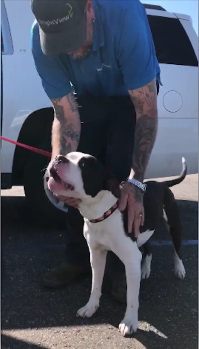 Arizona troopers helped locate and rescue this dog named Dozer. The pup was ejected from his owner's vehicle on March 12 and lost. He was found March 25 thin and tired but with no major damage. (Photo: Arizona DPS/Facebook)