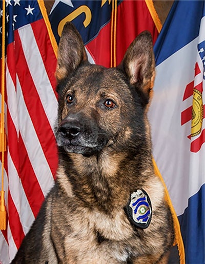 Hickory (NC) Police K-9 Rony died suddenly this week. (Photo: Hickory PD/Facebook)