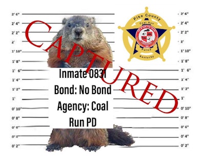 Andrew Scott—the Mayor of Coal Run (KY)—said on Facebook, 'This morning, in consultation with the City Attorney and Chief of Police, I ordered the immediate arrest of Punxsutawney Phil for violation of Kentucky Revised Statutes, Chapters 194A and 523. Specifically, the warrant alleges Fraud and Unsworn Falsification.