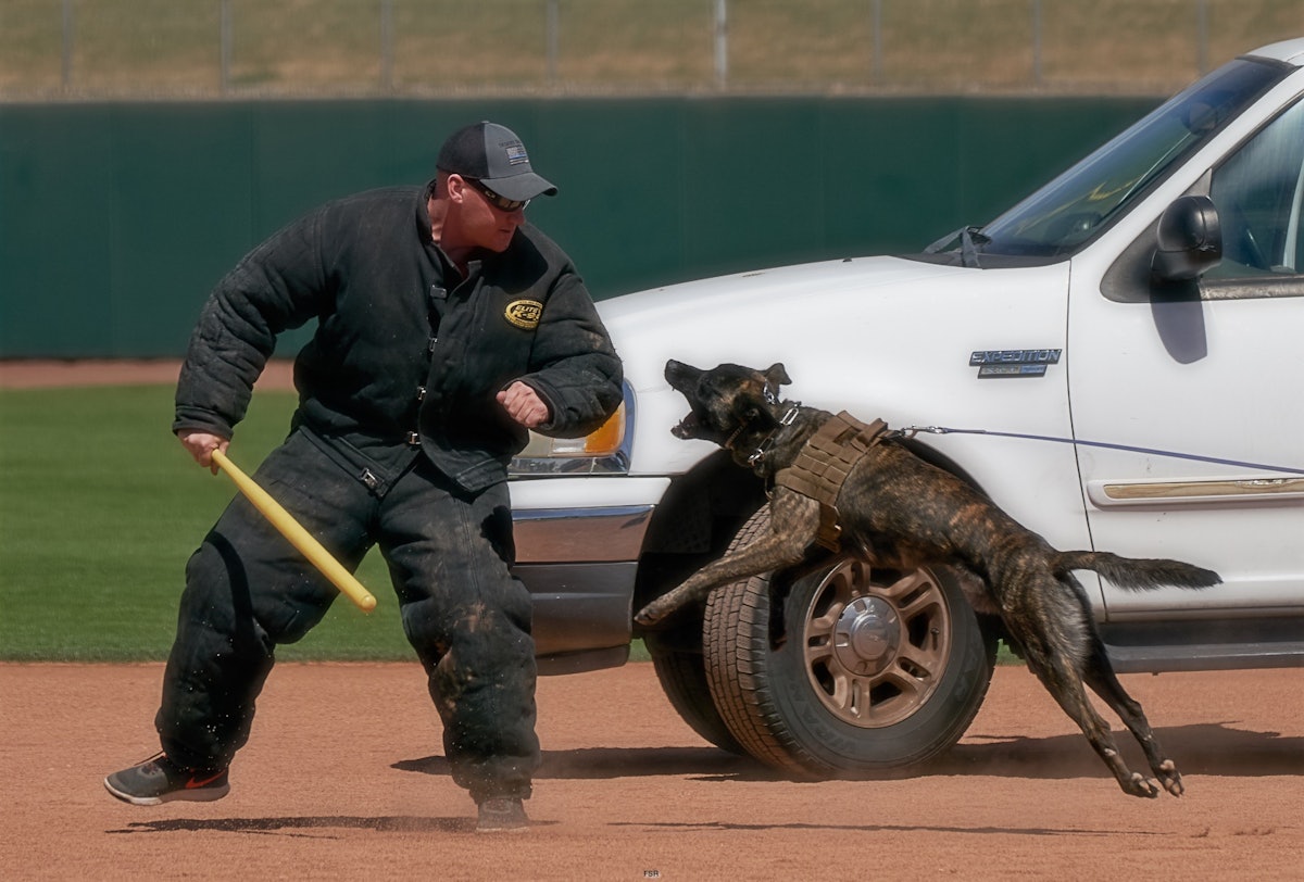 K9 Units Compete in Desert Dog Trials Police Magazine