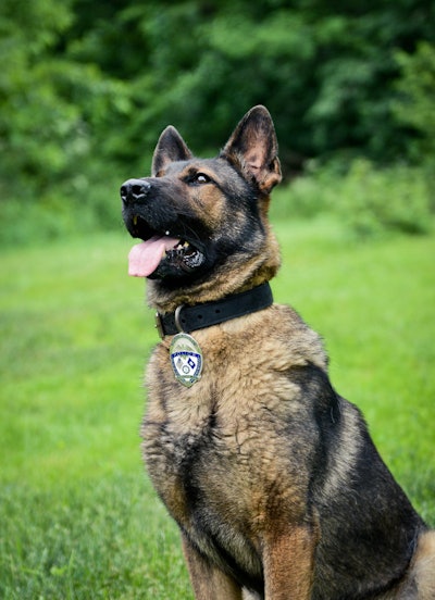 A K-9 with the Nicholasville (KY) Police Department died Friday from a sudden illness, the agency announced on Facebook.