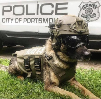 K-9 Max reportedly suffered severe internal injuries following a fall. He was transported to a nearby veterinary hospital where his condition worsened. He was subsequently humanely euthanized.