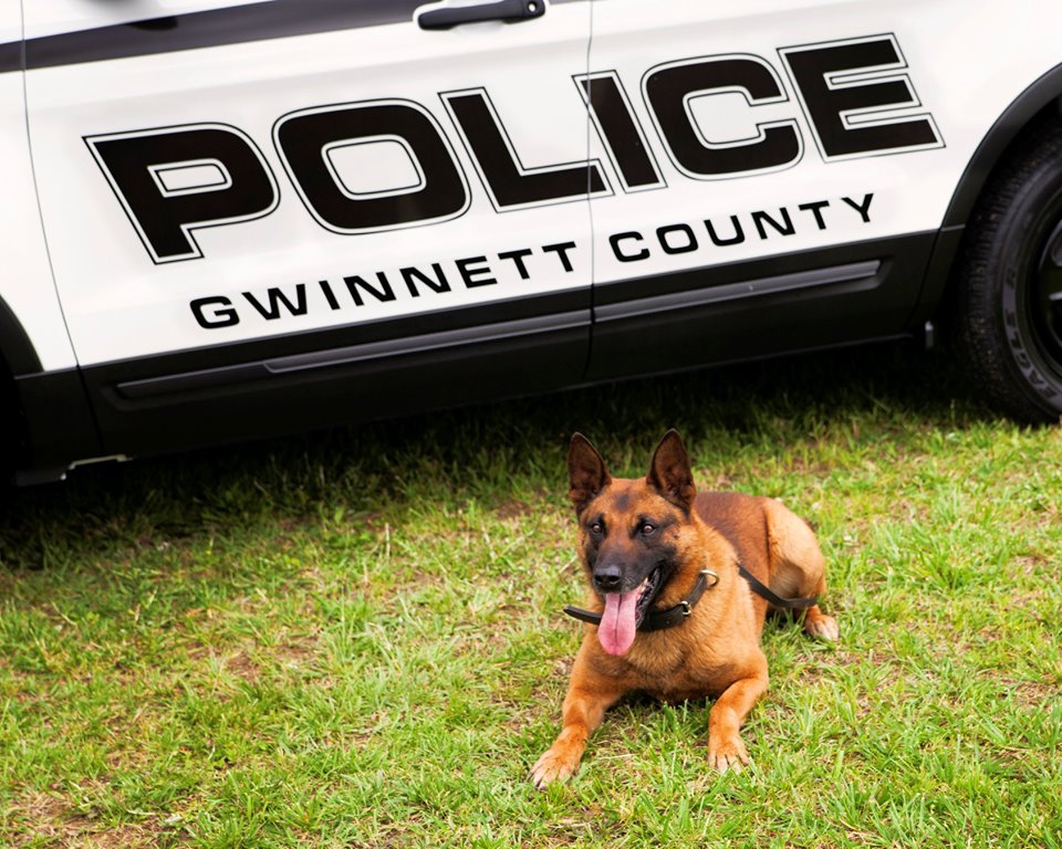 K-9 Eli of the Gwinnett County Police Department died after he fell ill while tracking a suspect.