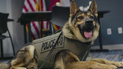 The Pflugerville (TX) Police Department's K-9s have received bullet and stab protective vests thanks to a charitable donation from non-profit organization Vested Interest in K-9s.