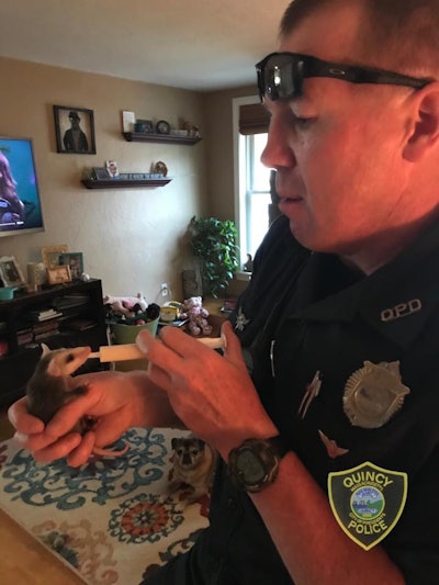 Stone Cold Steve Opossum is fed by Quincy Police Officer Kaes.