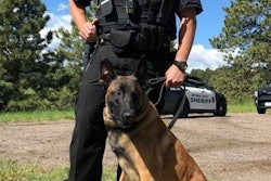 On his first night on patrol, K-9 Mao had six deployments and in one of those, he located two suspects who ran from a hit and run/DUI motor vehicle collision and hid from officers down an embankment in the weeds.