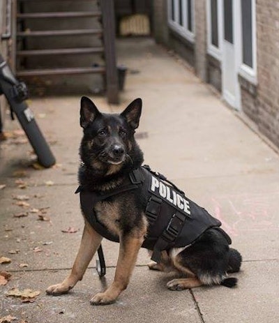 K-9 Rushin passed away from a recently diangnosed illness.