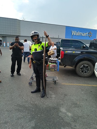 An officer with the Marshall (TX) Police Department responded to a call of a large snake slithering around in the parking lot of a local Walmart store and quickly apprehended the large reptile.