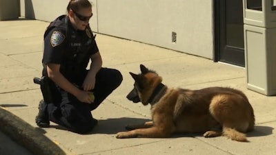 Officers with the Minot Police Department this week welcomed K-9 Caspian to the ranks.