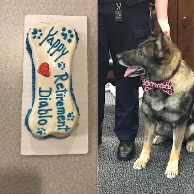 K-9 Diablo now will be adopted by his handler, Kendall Murphy.