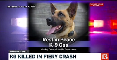 Whitley County (IN) Sheriff's Department K-9 Cas was killed in a pursuit crash Wednesday. (Photo: WTHR Screen Shot)