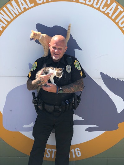 The Muncie Police Department posted on Facebook, 'Pictured below is Sergeant Mace. Did you know that Sergeant Mace loves cats? He quickly volunteered to hold (or attempt to hold) these two cats.'