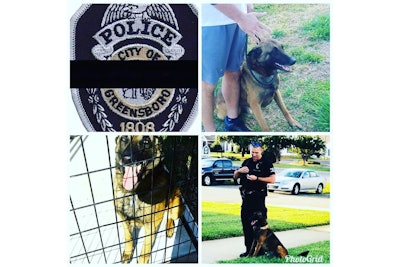 K-9 Rambo was struck and killed by a car while chasing a suspect.