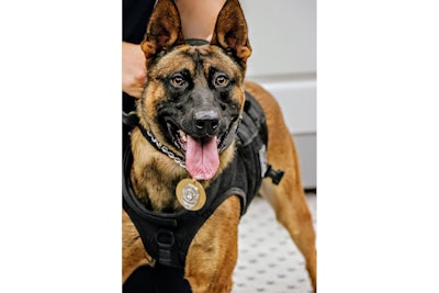 K-9 Valor has joined the ranks of the Prince George County Police Department.