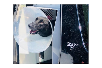 K-9 Max was shot on duty and is now recovering.