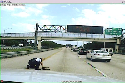 An officer with the Pinellas Park (FL) Police Department who witnessed a small dog being struck by a vehicle on an interstate freeway swooped to the animal's aid, wrapping it in a blanket and delivering it to a nearby veterinary hospital.