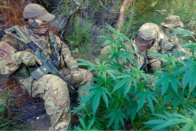 Lieutenant John Nores (left) sits with fellow operators with the California Department of Fish and Wildlife's Marijuana Enforcement Team (MET) among some pot plants grown illegally on public lands by members of the Mexican drug cartels.