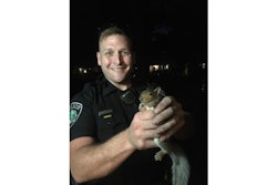 An officer with the Newport News (VA) Police Department responded to an unusual home invasion call on Tuesday as a couple reported to the non-emergency number that a squirrel was trapped in a fireplace.