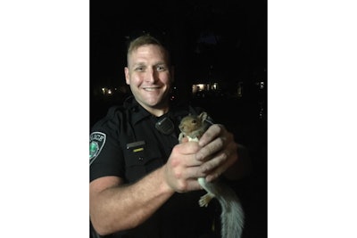 An officer with the Newport News (VA) Police Department responded to an unusual home invasion call on Tuesday as a couple reported to the non-emergency number that a squirrel was trapped in a fireplace.