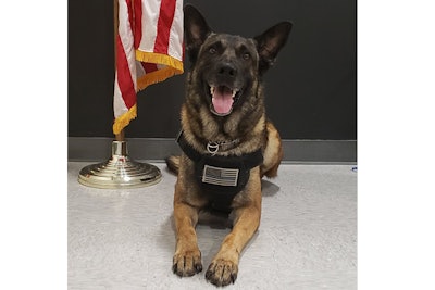 Deputy Frank Bleigh and K-9 Bandit responded to a call of a missing child and set about their search near the child's home. They found the child in ten minutes.