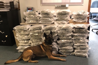 K-9 Thor is being credited with the location and seizure of 60 pounds of marijuana at a traffic stop on Monday, and the subsequent seizure of large amounts of cocaine, MDMA, crystal meth, and fentanyl.