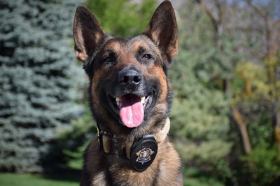 Deputies with the Davis County (UT) Sheriff's Office are mourning the loss of K-9 Chopper, who got out of the kennel in his handler's patrol vehicle and ran into traffic, where he was struck by a car and killed.