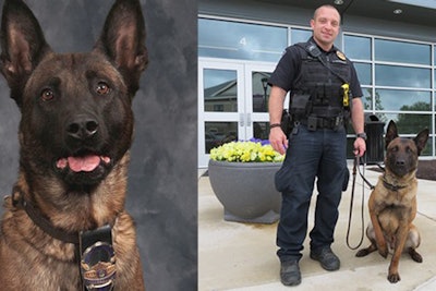 K-9 Harlej was killed while tracking two suspects after a vehicle pursuit on Tuesday night.