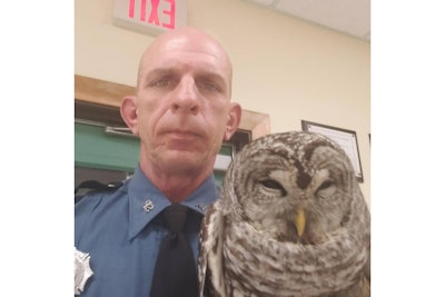 Trooper Sam Tlumac rescued this owl from the middle of a rural road. The bird later flew off into nearby trees.