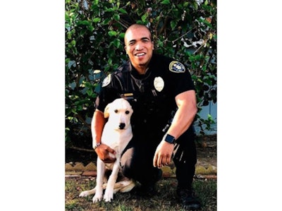 Officer Andre Thomas was still mourning the loss of his beloved pet Melakai—a Yellow Labrador—who died in March after spending ten years at the officer's side when he came upon the stolen vehicle he discovered in the back seat a frightened yellow Lab. (Photo: San Diego PD)