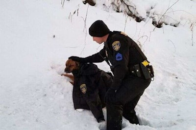 Sgt. Chris Howlett comforted Rogue the dog after she was hit by a car.