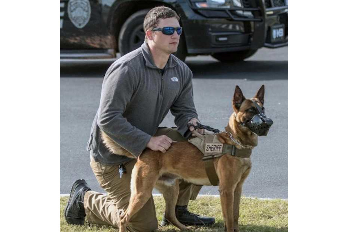Cullman County, AL, sheriff's deputy Adam Clark was critically injured in a patrol vehicle wreck Tuesday. His K-9 Figo was also injured. (Photo: Cullman County SO)