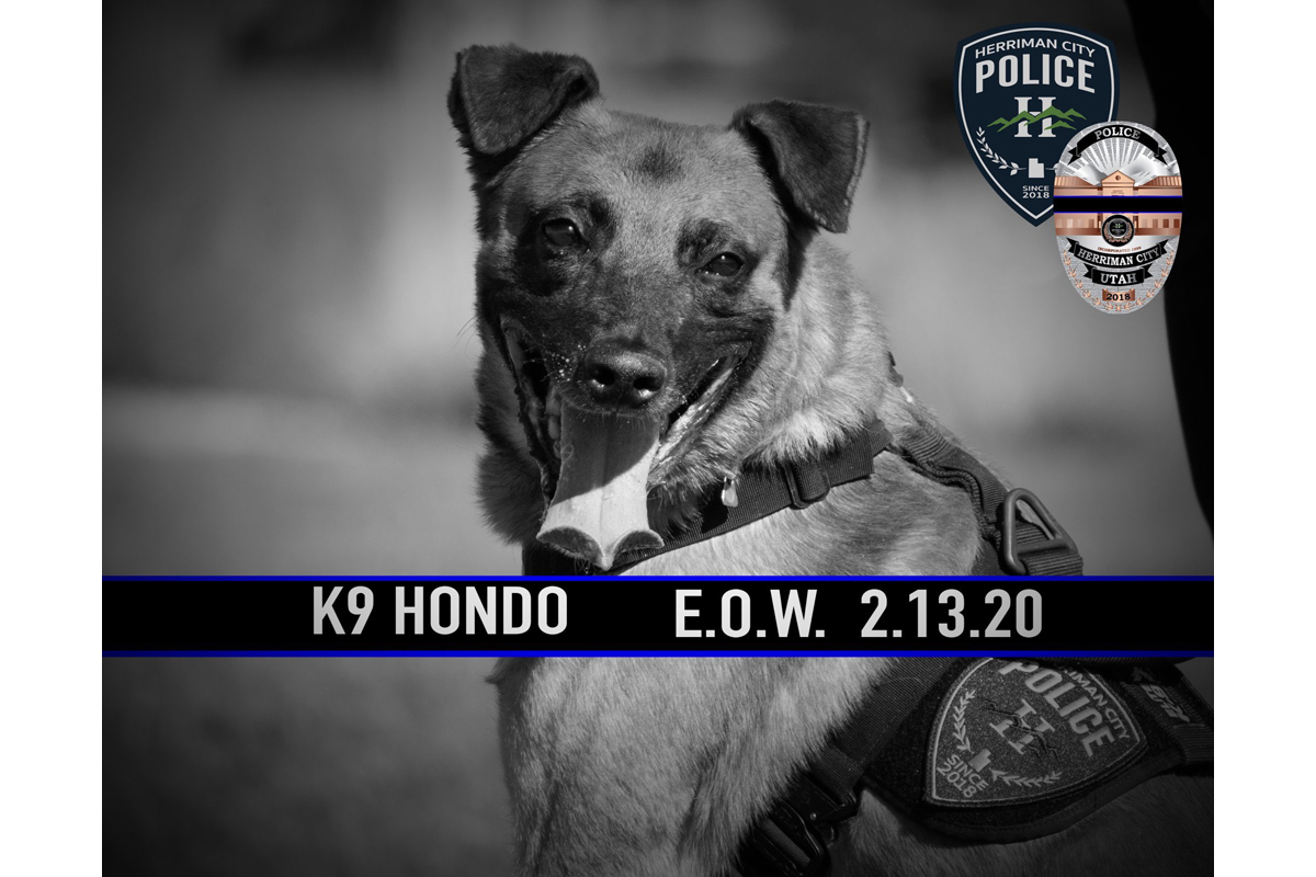 K-9 Hondo was shot and killed during an exchange of gunfire that also left the suspected gunman dead.