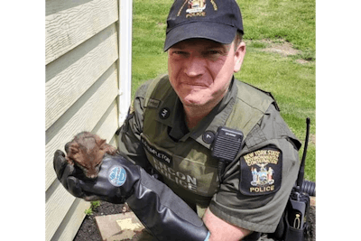 New York Environmental Conservation Police Officer Eric Templeton rescued a young fox. (Photo: NYDEC)