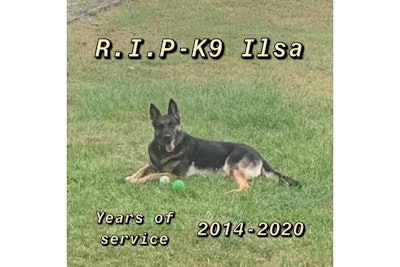 K-9 Ilsa served from 2014 to 2020, working units ranging from Street Crimes and Narcotics & Vice to the Community Outreach Team.
