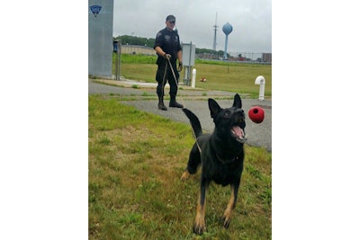 Trooper Matt Baird and K-9 Caber of the Massachusetts State Police were able to successfully locate and return to safety two teens—aged 13 and 14 years old—who had gone missing early Saturday morning.