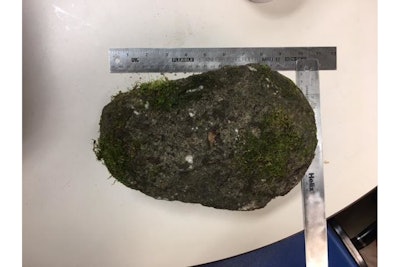 Portland police say this nearly 10-pound rock was thrown at officers Sunday. Two officers were hospitalized from injuries inflicted by rioters. (Photo: Portland Police Bureau)