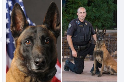 Officers with the Scottsdale (AZ) Police Department are mourning the sudden death of one of the department's K-9s.