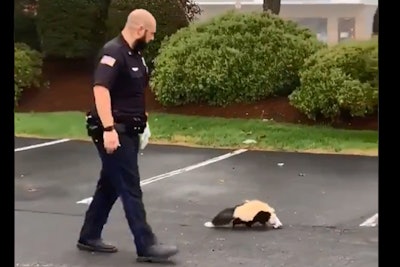 An officer with the Tewksbury (MA) Police Department managed to rescue a skunk over the weekend whose head was trapped in a plastic food container without being 'skunked.'