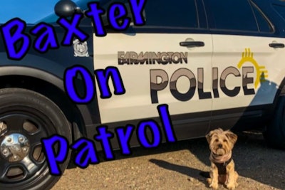 K-9 Baxter is expected to serve in a support role, lifting the spirits of officers and victims of criminal activity.