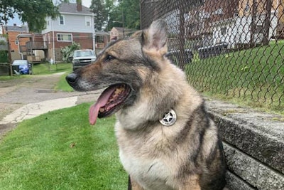 Officers with the Pittsburgh (PA) Police Department are now mourning the death of a K-9 'Bazer' who had served that community for more than a decade.