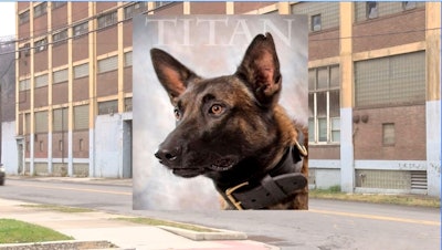 Johnstown, PA, police K-9 Titan was killed Sunday during a warehouse search when he fell down an elevator shaft. (Photo: Screen Shot from WPXI)