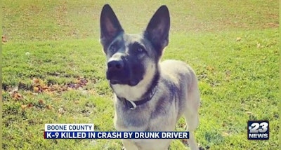 Boone County, IL, sheriff's K-9 Loki was killed Sunday in a crash involving a DUI suspect. (Photo: KWQC Screen Shot)