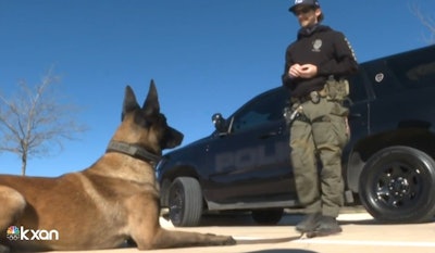 San Marcos, TX, Officer Stephen Sarver and K-9 Rex are credited with stopping a carjacking. (Photo: WXAN screen shot)